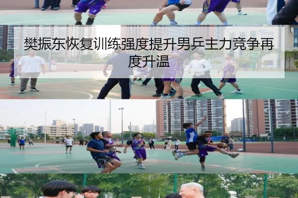 樊振东恢复训练强度提升男乒主力竞争再度升温